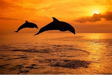 陶德：B社游戏规模越来越大 是因为团队倾注大量创造力